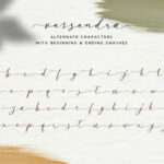 Vassandra Script Font Poster 6