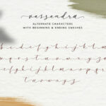 Vassandra Script Font Poster 7