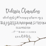 Velissia Font Poster 2
