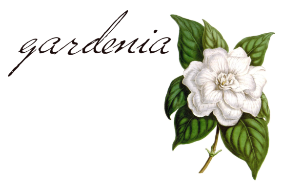 Versitia Font Versitia Font Poster 1