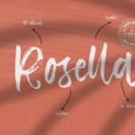 Vetto Rosella Font Poster 5