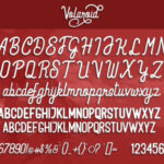 Volaroid Duo Font Poster 6