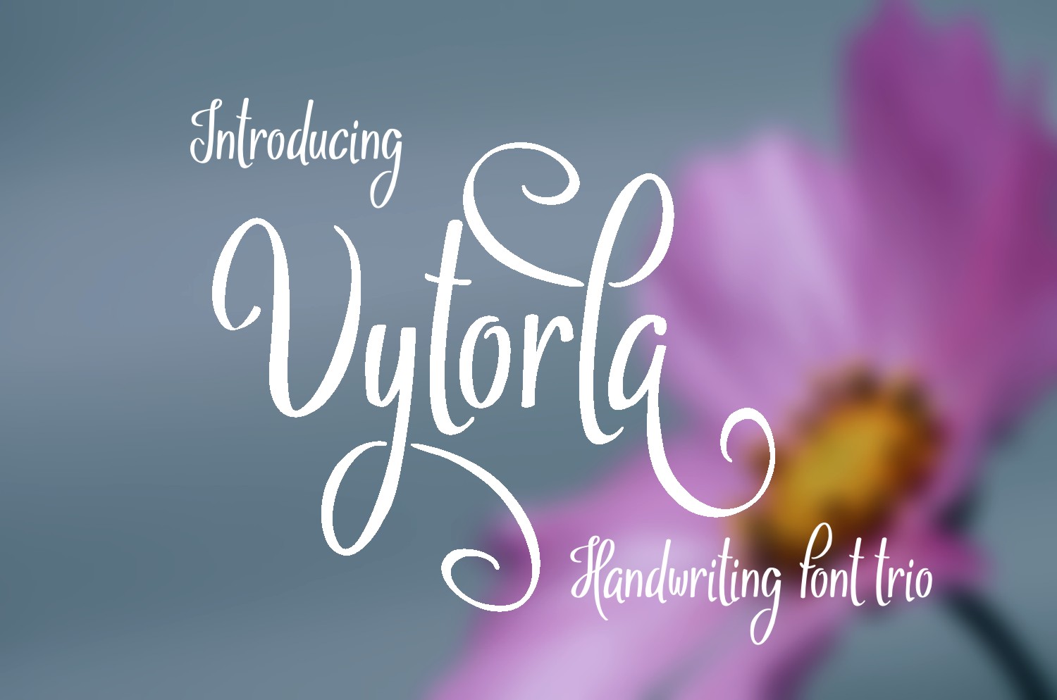 Vytorla Font Poster 1