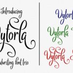 Vytorla Font Poster 2