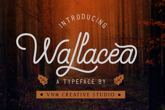 Wallacea Font Poster 1