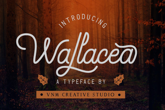 Wallacea Font