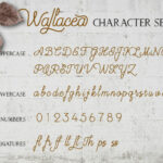 Wallacea Font Poster 12