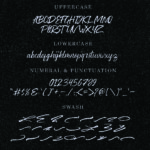 Washington Font Poster 6