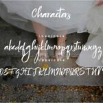 Wedding Story Font Poster 2
