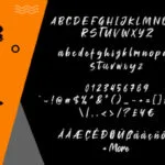 Well Font Poster 7