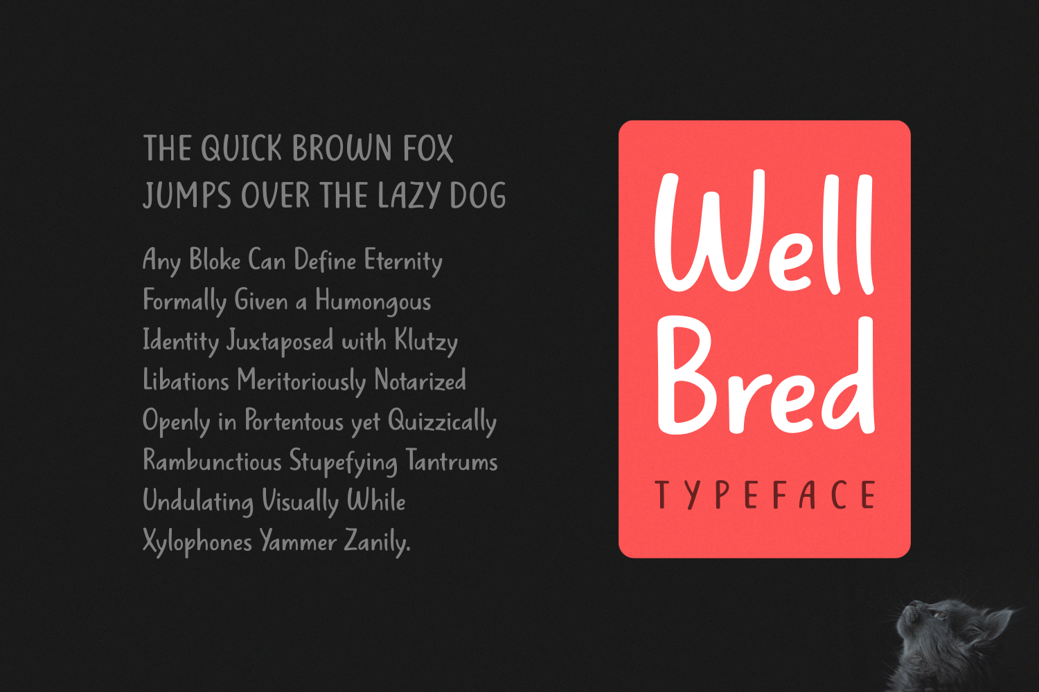 Well Bred Font Poster 1