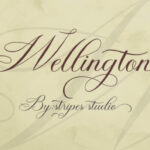 Wellington Script Font Poster 9