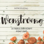 Wenstroong Font Poster 1