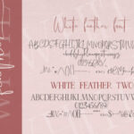 White Feather Duo Font Poster 12