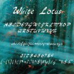 White Lotus Font Poster 2