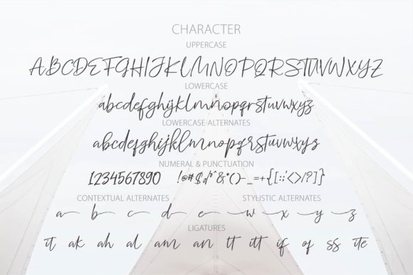 Whitecase Font