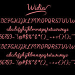 Widia Font Poster 5