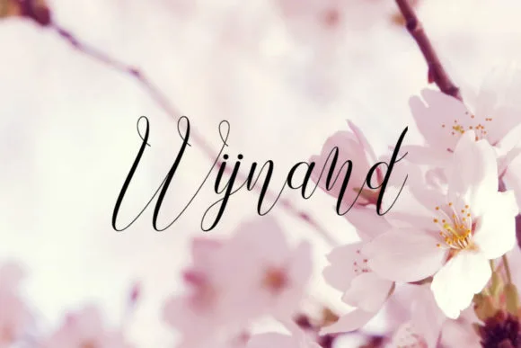 Wijnand Font Wijnand Font Poster 1