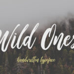 Wild Ones Font Poster 1
