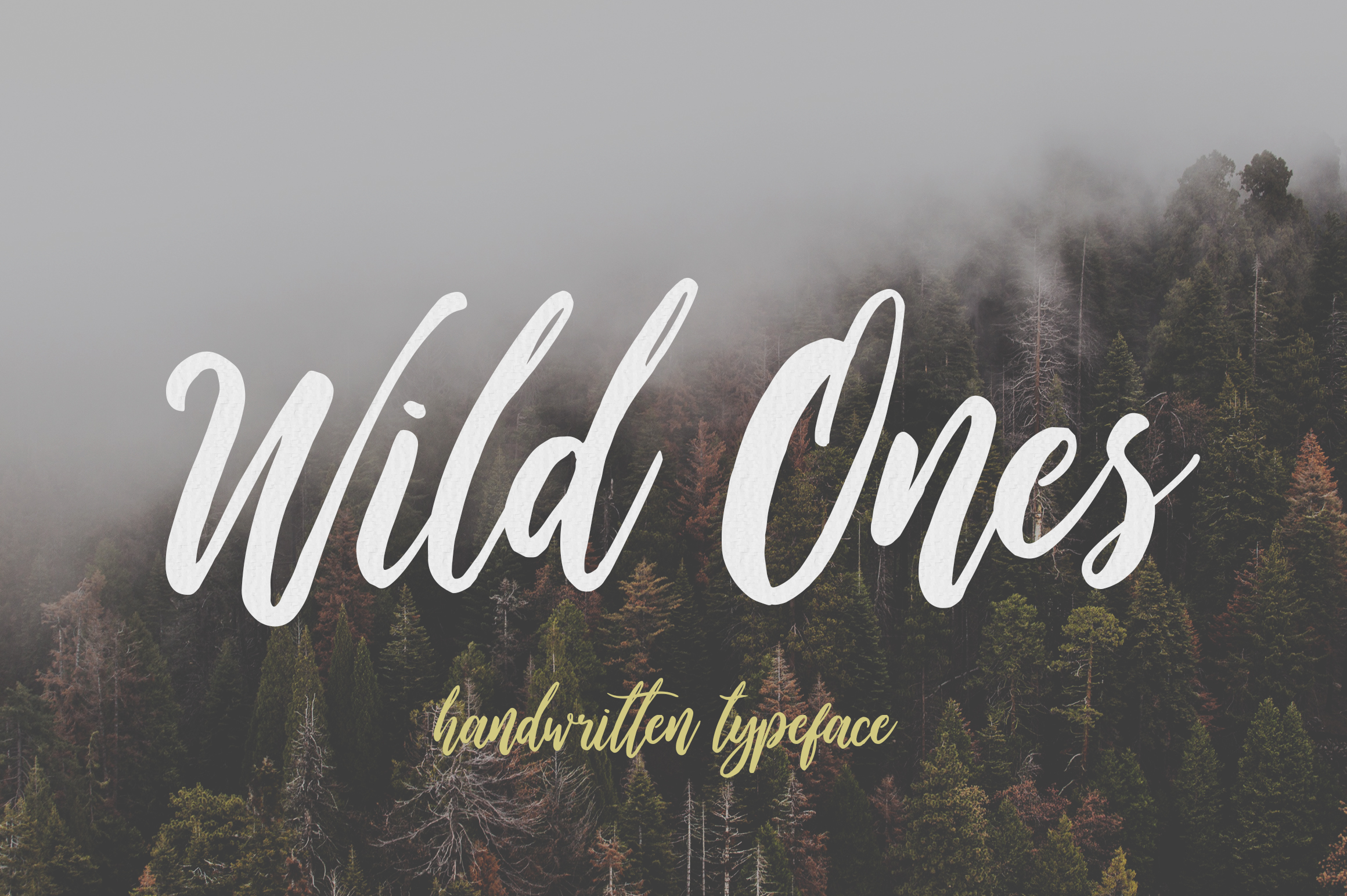 Wild Ones Font Poster 1