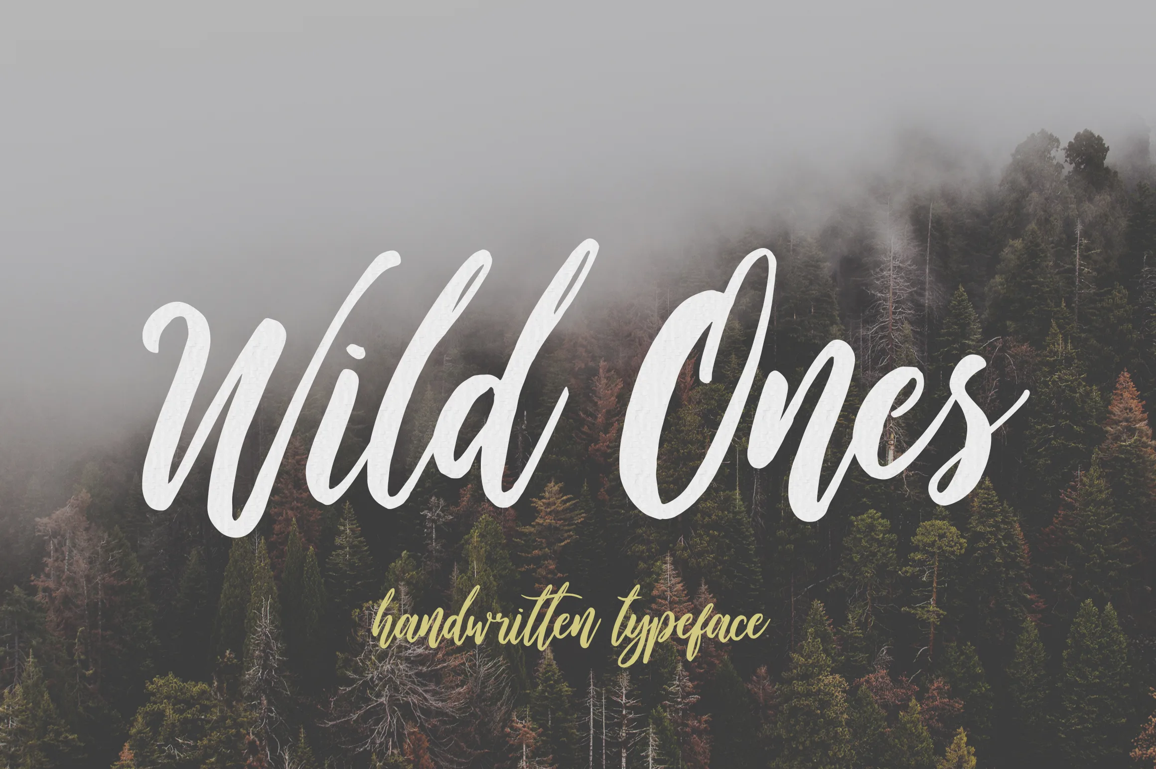Wild Ones Font Wild Ones Font Poster 1