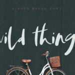 Wild Things Font Poster 1