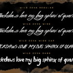 Wild Zova Font Poster 6