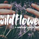 Wildflower Font Poster 1