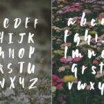 Wildflower Font Poster 5