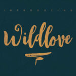 Wildlove Font Poster 4