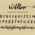 Wildlove Font Poster 6