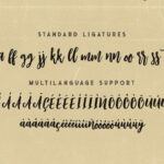 Wildlove Font Poster 8