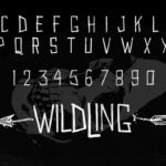 Wildwildling Font Poster 4