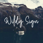 Wildy Sign Font Poster 1