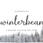 Winterbean Font Poster 1