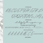 Winterfellia Font Poster 5