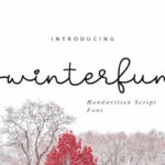 Winterfun Font Poster 1