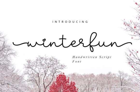 Winterfun Font Poster 1