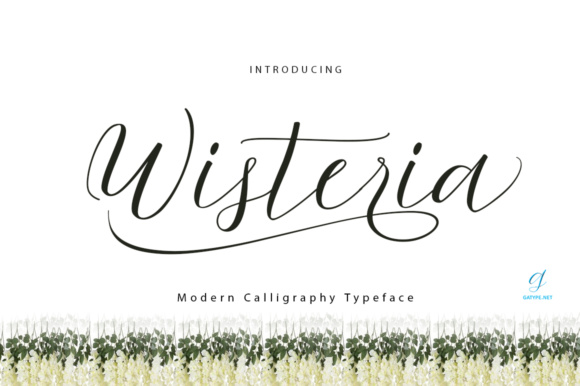 Wisteria Script Font