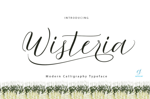 Wisteria Script Font Poster 1