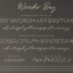 Wonder Bay Font Poster 10