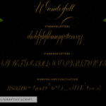 Wonderfull Font Poster 5