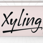 Xyling Font Poster 1