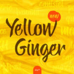 Yellow Ginger Font Poster 1