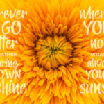 Yellow Ginger Font Poster 2