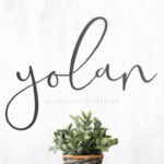 Yolan Font Poster 1