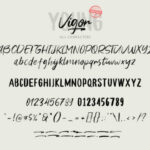 Young Vigor Duo Font Poster 7