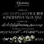 Yumina Font Poster 7