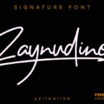 Zaynudine Font Poster 1