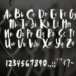 Adilla and Rita Font Poster 6